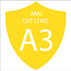 a3